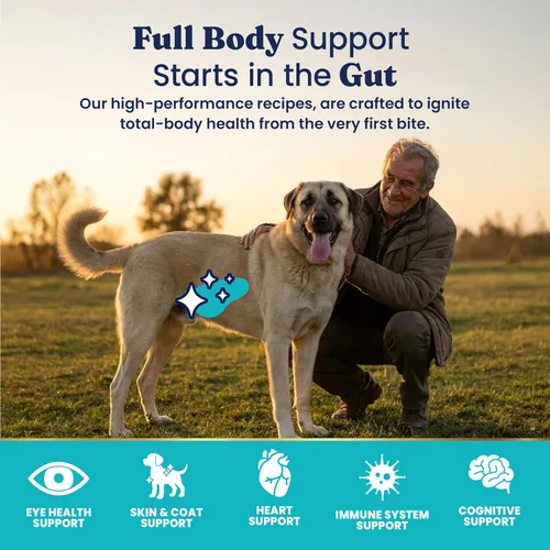 Vista 4 de Solid Gold, Hund-N-Flocken, alimento seco para perros con cordero, arroz y aceite de pescado Omega 3 para perros, probióticos, 24 libras Alimento