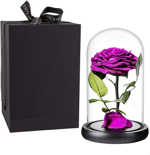 Vista 9 de Rosas preservadas, rosas negras en cúpula de cristal, medianas, flores preservadas para el día de la madre, regalos para mujeres Negro