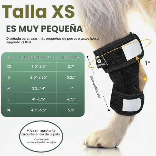 Vista 5 de Tobillera corta de pierna trasera para perro, 1 par