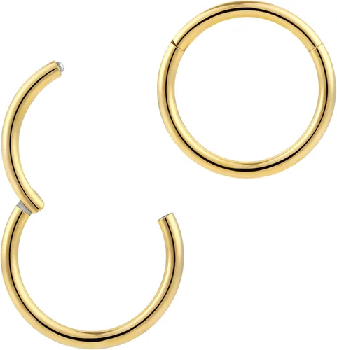 Vista 15 de 2pcs Titanium Hinged Hoops Segment Septum Nose Rings Sleeper Earrings Negro