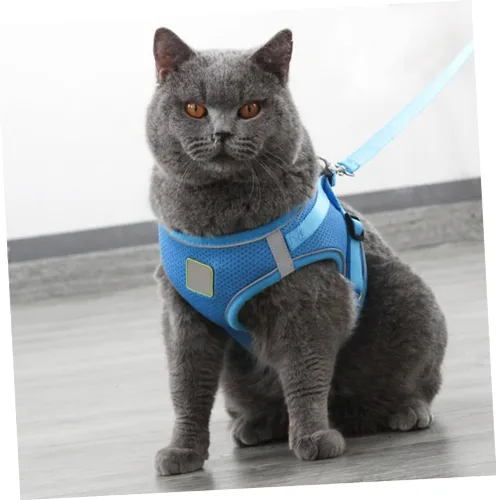 Vista 4 de COLLBATH Reflective Dog Vest Harness Set with Breathable Mesh Chest Strap Lightweight and Pet Pulling Strap for Outdoor Walking Blue S Comfortable