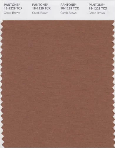 Vista 12 de PANTONE Tarjeta de muestra de color inteligente 18-1314X, bellota