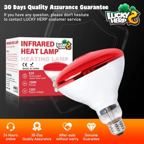 Vista 7 de LUCKY HERP Bombillas de lámpara de calor para pollos, lámpara de calor infrarroja de 150 W, 1 paquete, bombillas rojas para reptiles, mascotas