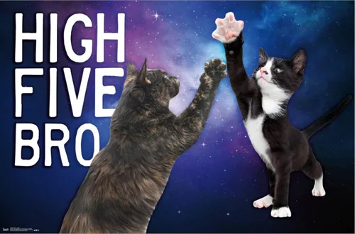 Vista 2 de Trends International Keith Kimberlin - Kittens - High Five Bro in Space Wall Poster, 14.72" x 22.37", Stretched Canvas