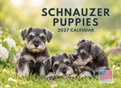 Vista 35 de Calendario mensual de pared Airedale Terrier Dog 2027 rojo (Airedale Terrier)