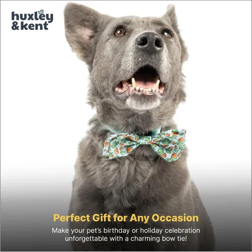Vista 9 de Huxley & Kent - Corbata para mascotas para perros y gatos - Collar ajustable con gancho y velcro - Lindo y cómodo para fiestas y celebraciones - Soy