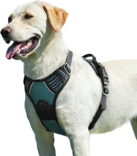 Vista 12 de Eagloo Arnés para perro pequeño, sin tirones, chaleco de servicio con tiras reflectantes y asa de control, ajustable y cómodo para caminar, arnés