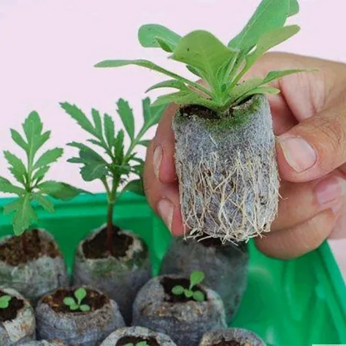 Vista 4 de Tlswshsy Bloque de suelo de plántulas de palets de turba de 1.181 in, 120 unidades, tapones de arranque de plantas, trasplante de cultivo