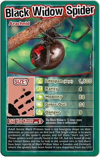Vista 4 de Top Trumps Juego de cartas Bugs - Juegos familiares para niños y adultos - Juegos de aprendizaje - Juegos de cartas para niños 2 y más
