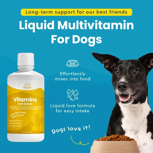 Vista 12 de Vitaminas y suplementos 100 % naturales para perros – Multivitamina líquida para perros – Vitaminas para perros mayores – Multivitaminas para perros