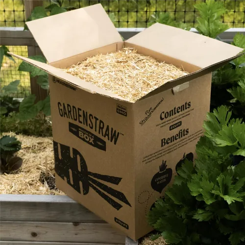 Vista 2 de Caja de mantillo GardenStraw de HealthiStraw, 2 pies cúbicos (10 lb) – Paja de trigo 100% natural y sostenible para jardines, siembra de césped