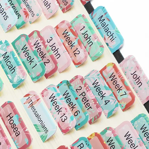 Vista 36 de Mr. Pen - Pestañas de la Biblia, 75 pestañas, tierra otoñal, letras doradas en relieve Laminated Bible Tabs for Women and Men, Bible Tabs for