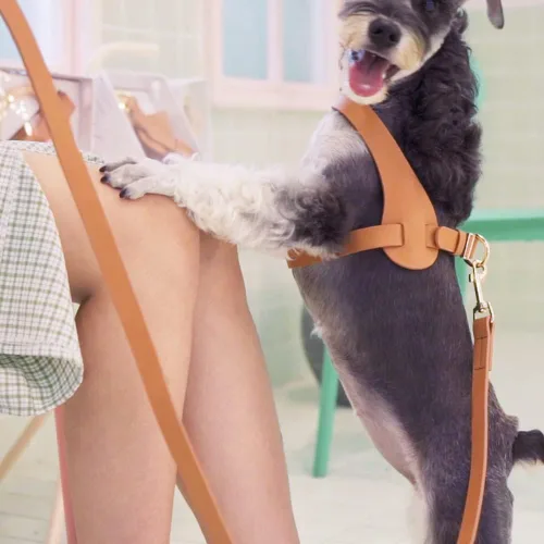Vista 5 de Arnés de cuero de microfibra para perro mediano, arnés para perro sin tirones, fácil de llevar, impermeable, correas de doble capa, herrajes