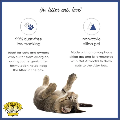 Vista 4 de Precious Cat Senior Litter, 8 libras