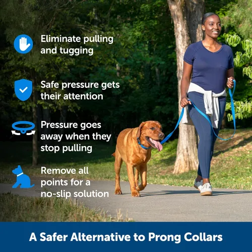 Vista 2 de PetSafe Soft Point - Collar de entrenamiento sin tirones para perros, puntos suaves de goma, mediano, 3/4 pulgadas, negro