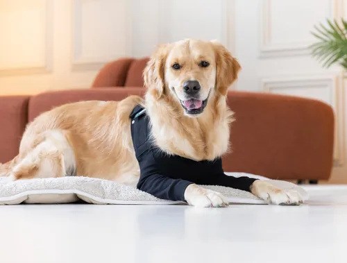 Vista 2 de Funda de recuperación doble manga Suitical para perros - Protección para la pierna delantera para después de la cirugía, problemas de piel, puntos