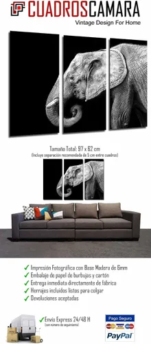 Vista 2 de Cuadros Cámara Black and white elephant photo frame, wild animals, nature. Total size: 97 x 62 cm. XXL