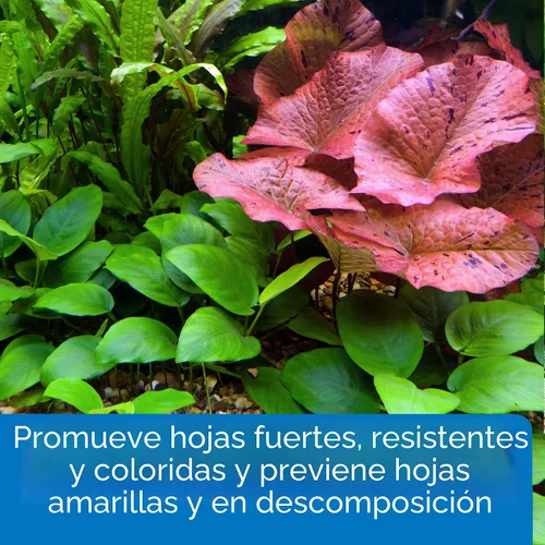 Vista 4 de API LEAF ZONE - Fertilizante para plantas de acuario de agua dulce, botella de 8 onzas