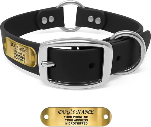 Vista 13 de Regal Dog Products Collar de Perro Naranja Mediano con Placa de Nombre Grabada Personalizada - Ajuste Personalizado, Resistente, Fácil de Limpiar