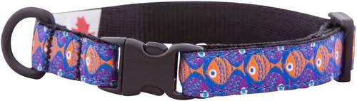 Vista 12 de RC Pets Kitty Breakaway - Collar para gatos, Cat-titude