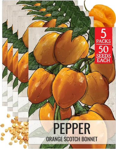 Vista 18 de Seed Needs - Semillas de pimiento arcoíris para plantar verduras, 1 paquete