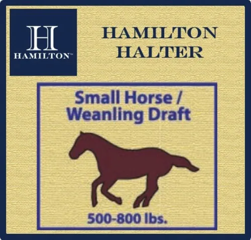 Vista 3 de Hamilton Caballo de nailon de 1 pulgada, tamaño pequeño (500-800 libras), azul baya