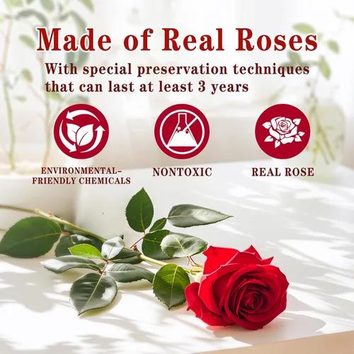 Vista 9 de Caja extra grande con forma de corazón de 16 rosas preservadas para siempre, con collar, regalos para el día de San Valentín para ella, novia