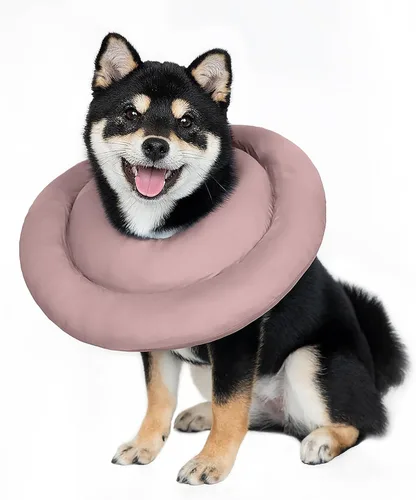 Vista 8 de Gagabody Cono de Perro Suave Alternativo para Perros Pequeños, Gatos y Perros Medianos - Collar Isabelino Ajustable y Cómodo para Recuperación Azul