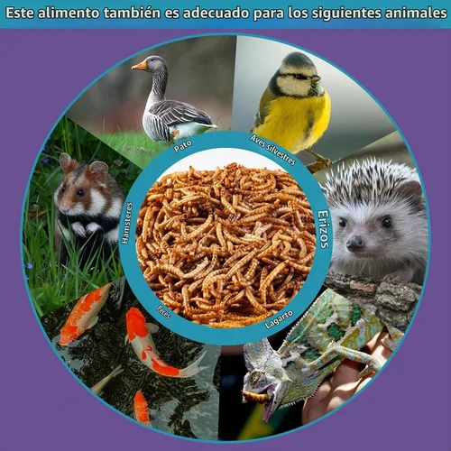 Vista 8 de 2LB Dried Mealworms for Chickens - 52% Protein for Growth