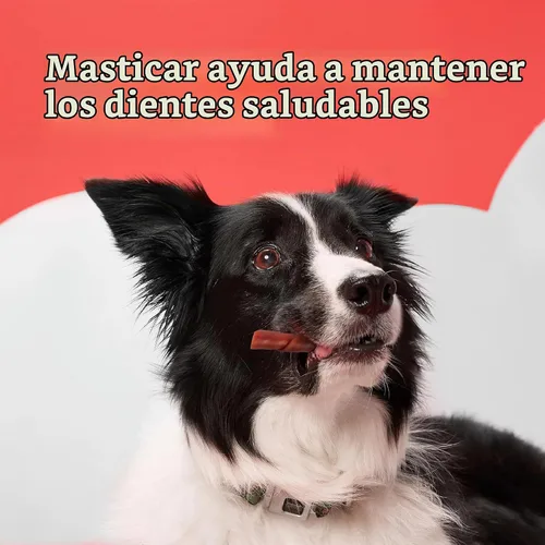 Vista 9 de DreamBone Twistz relleno de 10 unidades, masticables sin cuero crudo