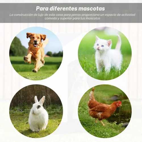 Vista 4 de FDW Casa para Perros Interior Exterior Durable Ventilada Impermeable para Mascotas de Plástico para Perros Pequeños Medianos y Grandes Refugio