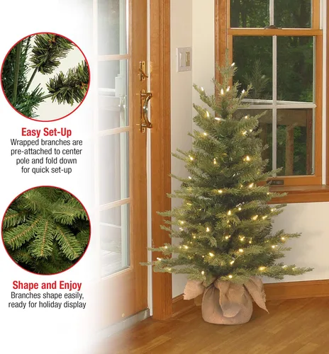 Vista 3 de National Tree Company Mini árbol de Navidad de abeto nórdico preiluminado