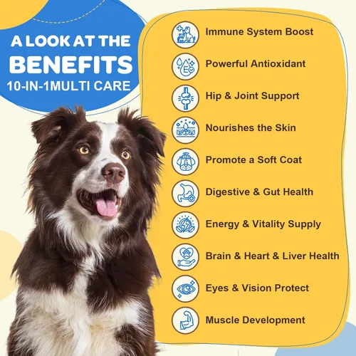 Vista 9 de Multivitamínico para perros con minerales para la salud general, vitaminas y suplementos para perros con glucosamina, probióticos para cachorros