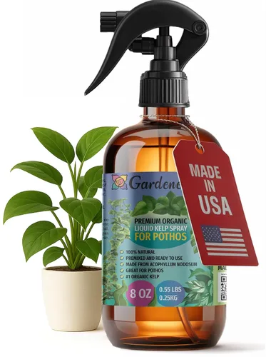 Vista 16 de GARDENERA Spray orgánico profesional de algas marinas para plantas de orquídeas – 8 oz – Rocío fertilizante de algas marinas y algas marinas