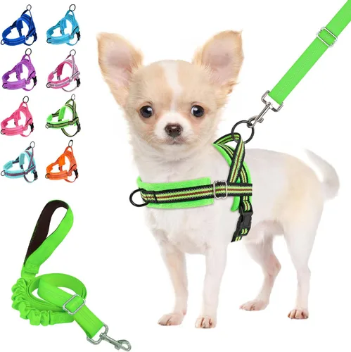 Vista 13 de Lukovee Juego de arnés y correa para perro sin tirones, arnés acolchado suave para perro pequeño, chaleco reflectante ajustable para cuello y pecho