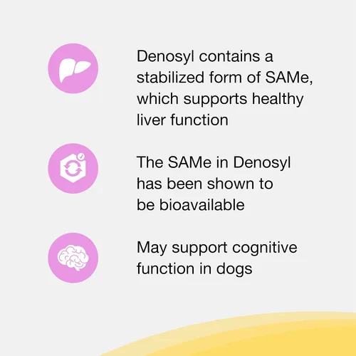 Vista 4 de Nutramax Denosyl para perros pequeños y gatos Brain & Liver Support Supplement for Cats and Dogs Up to 12 lbs, with S-Adenosylmethionine (SAMe)