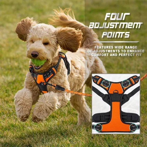 Vista 244 de BARKBAY - Arnés para perro sin tirones con clip frontal, material resistente y reflectante, asa de fácil control para pasear perros grandes