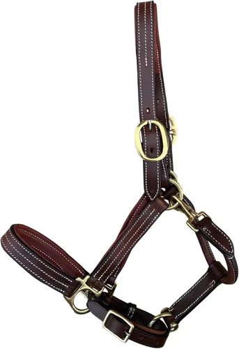 Vista 3 de Leaders - Cabestro acolchado de cuero para caballos con placa de nombre grabada personalizada con opción halter para caballo