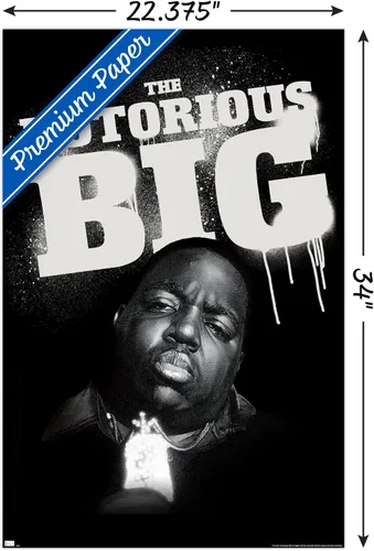Vista 3 de Trends International The Notorious B.I.G. - Póster de pared de cadena, 22.375 x 34 pulgadas, versión premium sin marco