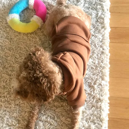 Vista 2 de Jecikelon Sudadera con capucha para perro de invierno con bolsillos, ropa cálida para perros pequeños, abrigo de Chihuahua, ropa de cachorro y gato