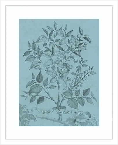 Vista 12 de Amanti Art Vision Studio - Póster enmarcado de 24 x 20 pulgadas, diseño botánico en V verde azulado por Vision Studio, arte de pared de naturaleza