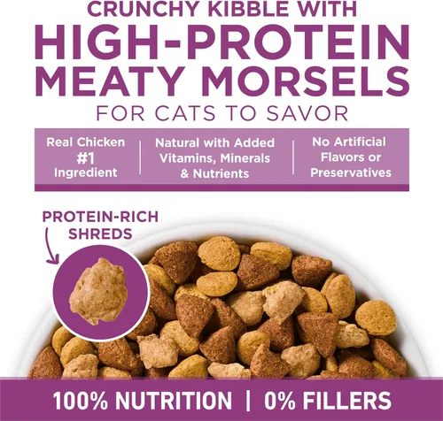 Vista 6 de Purina ONE Plus Apoyo para todo el cuerpo con pollo, alimento seco para gatos - Bolsa de 7 lb