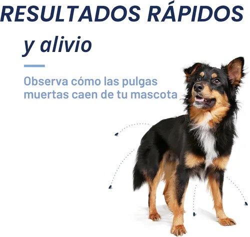 Vista 5 de PetArmor CAPACTION (nitenpiram) Tratamiento oral contra pulgas para perros, tabletas de acción rápida comienzan a matar en 30 minutos, tratamiento
