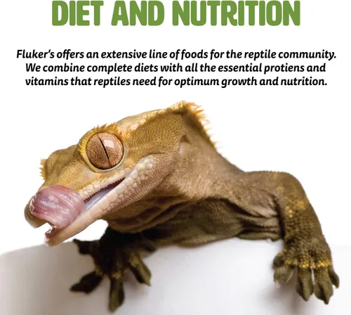 Vista 4 de Fluker's Dieta de tortugas acuáticas, pellets de alimentos para tortugas, 8 onzas