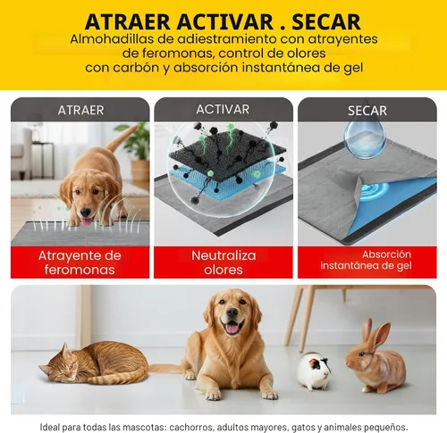 Vista 7 de Glad para Mascotas Almohadillas para Cachorros de Carbón Negro - Almohadillas Desechables Súper Absorbentes para Orina de Perro, Almohadillas