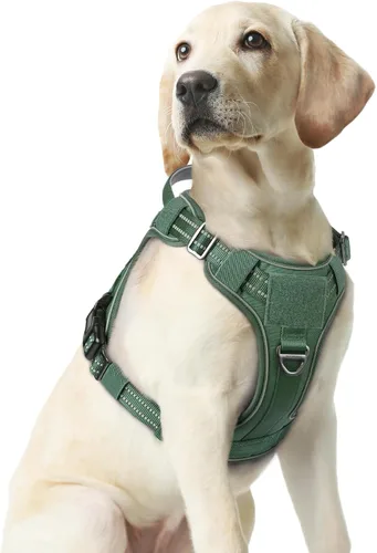 Vista 60 de rabbitgoo - Arnés para perros pequeño sin tirones, chaleco táctico de servicio con Molle y asa de control, arnés militar ajustable y reflectante