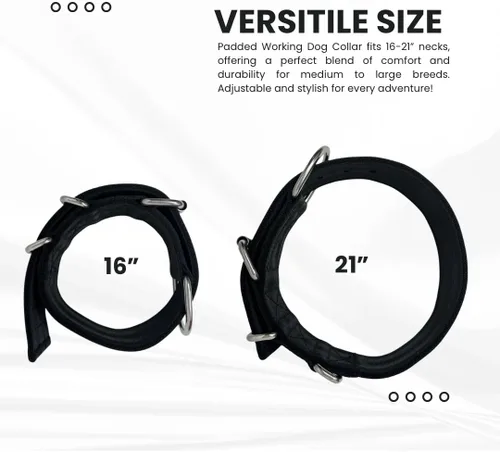 Vista 7 de SparkDog - Collar acolchado para perro, 2 pulgadas de ancho, nailon de 4 capas, correas para cinturón de seguridad, accesorios de acero inoxidable