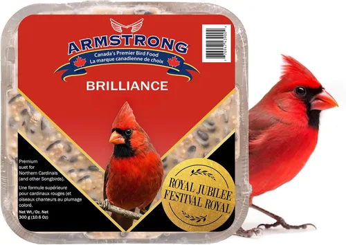 Vista 2 de Armstrong Bird Food Royal Jubilee Brilliance - Pastel de sebo de 10.6 onzas (paquete de 3), con girasol de aceite negro, cártamo, pasas, cerezas