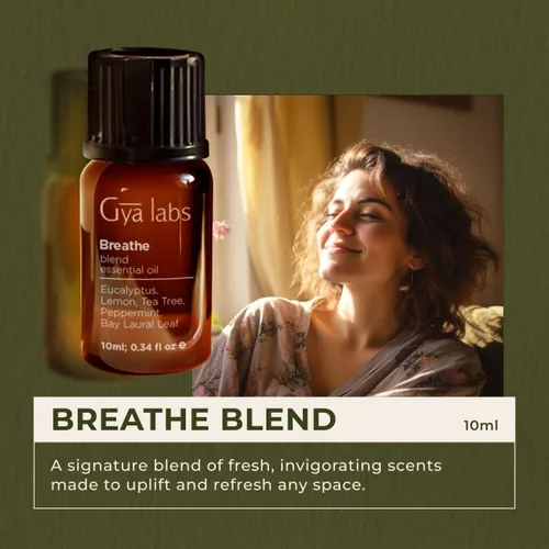 Vista 2 de Gya Labs Breathe - Mezclas de aceites esenciales 100% puros, naturales y fáciles de respirar de eucalipto, menta y más para limpiador humidificador