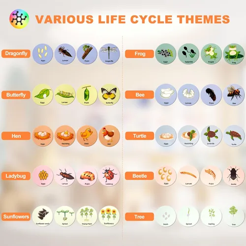 Vista 2 de Juguetes de ciclo de vida para niños, kits educativos de ciencia, juguetes Montessori para niños de 3, 4, 5, 6 años en adelante, aprendizaje